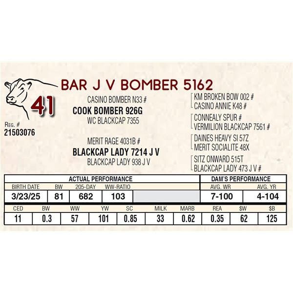 BAR J V BOMBER 5162