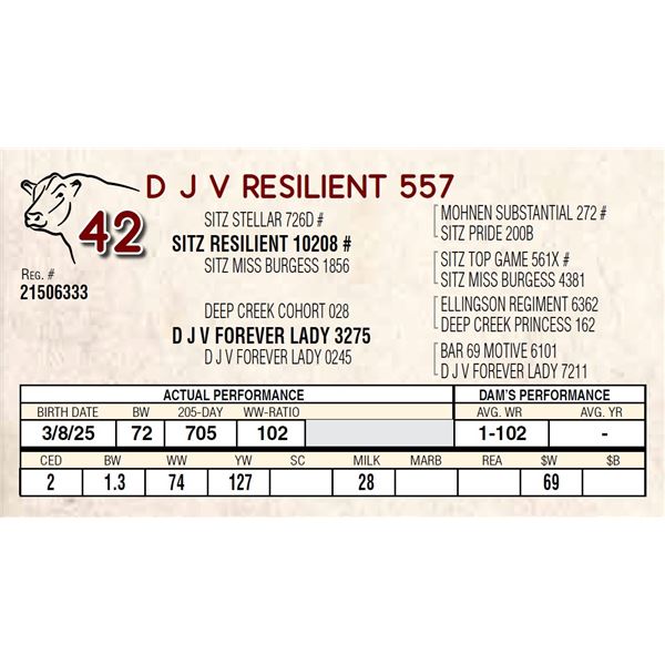 D J V RESILIENT 557