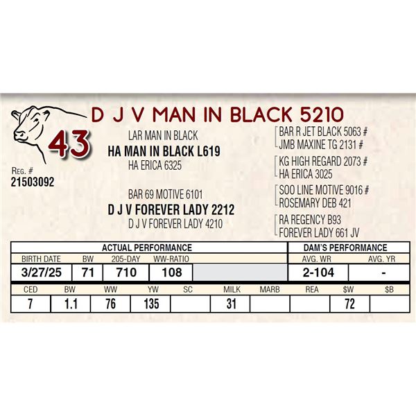 D J V MAN IN BLACK 5210