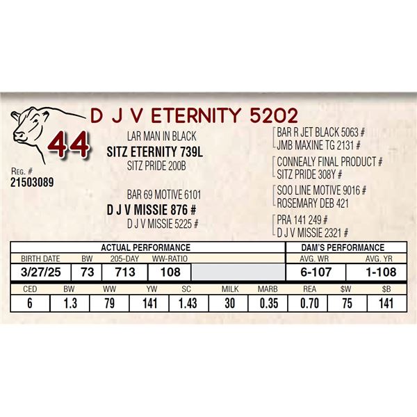 D J V ETERNITY 5202