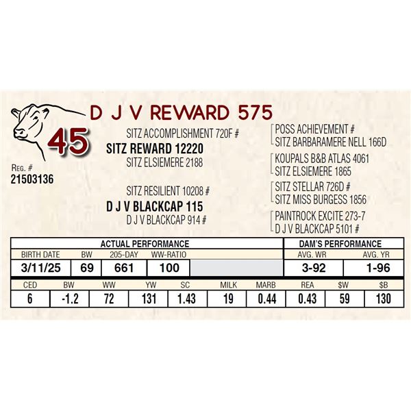 D J V REWARD 575