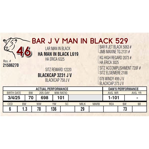 BAR J V MAN IN BLACK 529