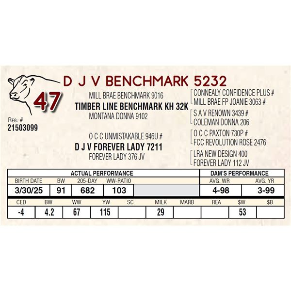 D J V BENCHMARK 5232