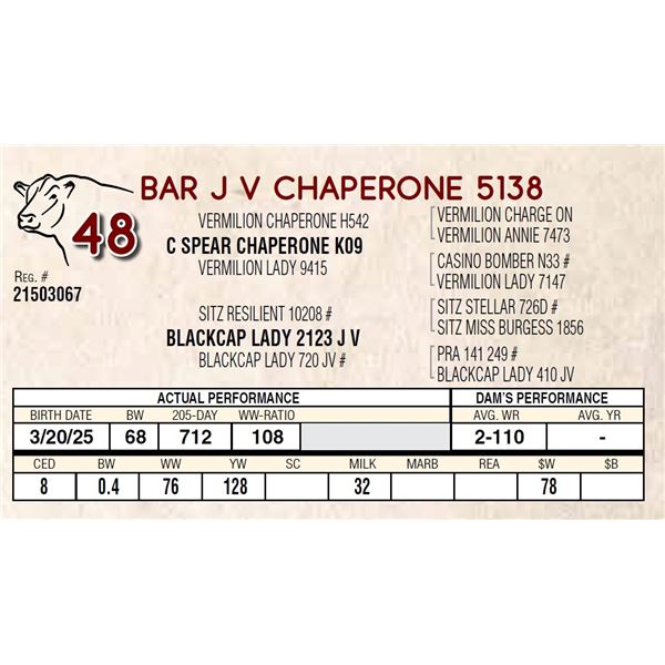 BAR J V CHAPERONE 5138