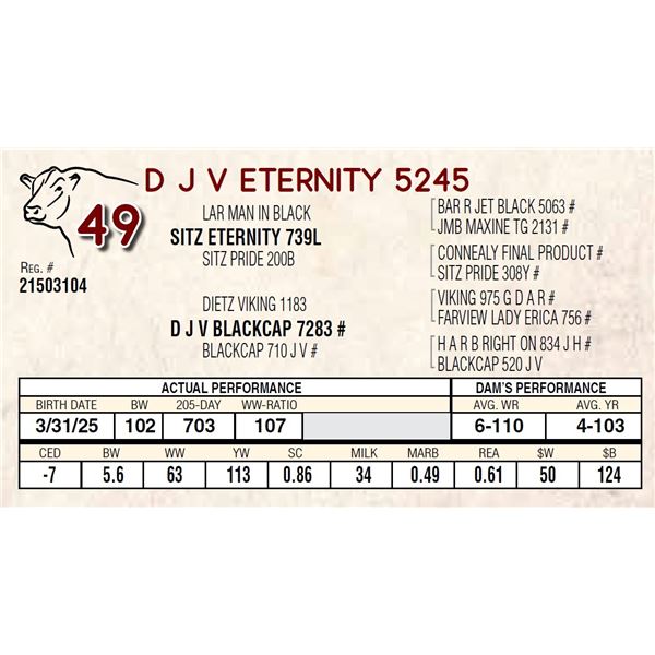 D J V ETERNITY 5245