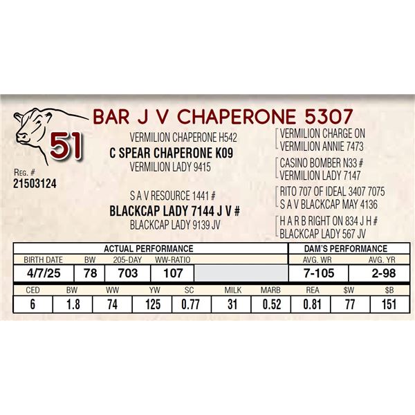 BAR J V CHAPERONE 5307