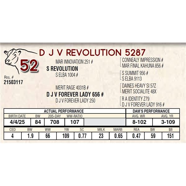 D J V REVOLUTION 5287