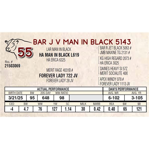 BAR J V MAN IN BLACK 5143