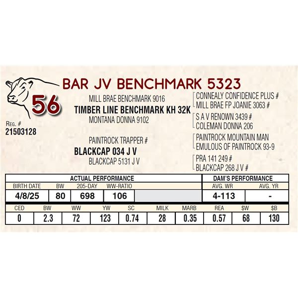 BAR JV BENCHMARK 5323