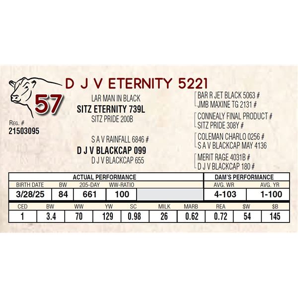D J V ETERNITY 5221