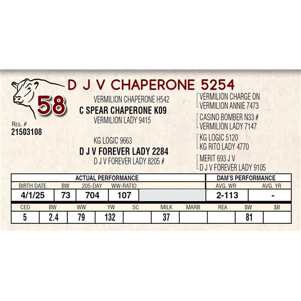 D J V CHAPERONE 5254