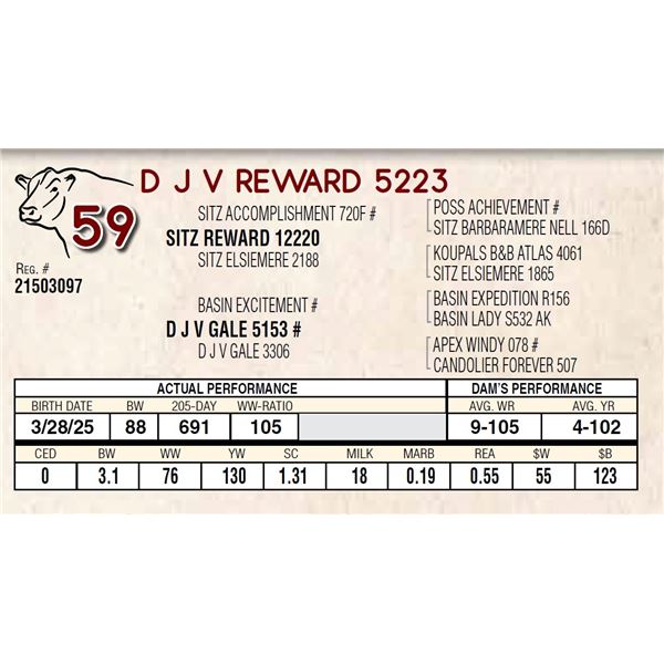 D J V REWARD 5223