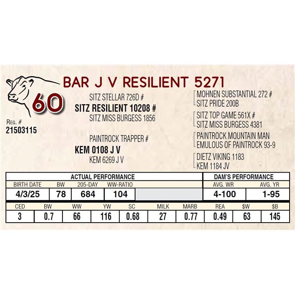 BAR J V RESILIENT 5271