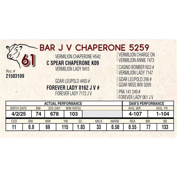 BAR J V CHAPERONE 5259