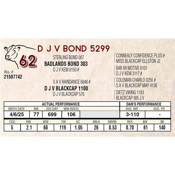 D J V BOND 5299