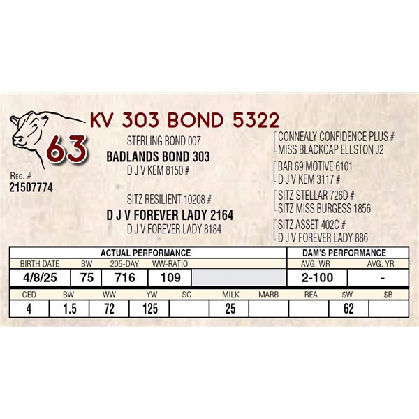 KV 303 BOND 5322