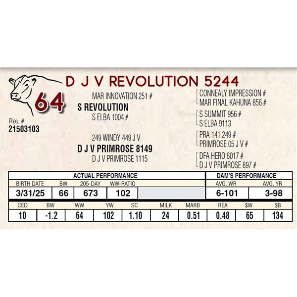 D J V REVOLUTION 5244