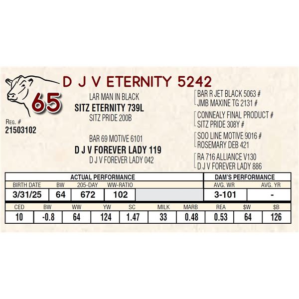 D J V ETERNITY 5242