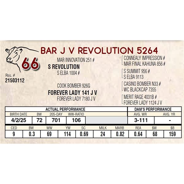 BAR J V REVOLUTION 5264