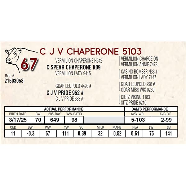 C J V CHAPERONE 5103