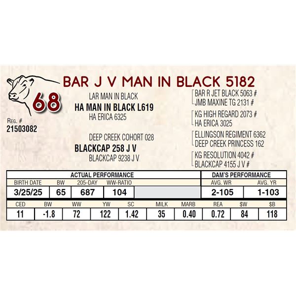 BAR J V MAN IN BLACK 5182