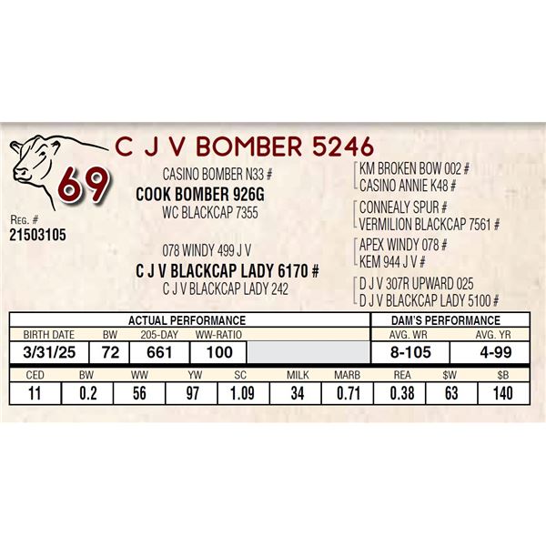 C J V BOMBER 5246
