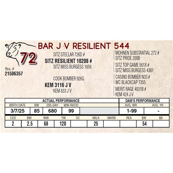 BAR J V RESILIENT 544