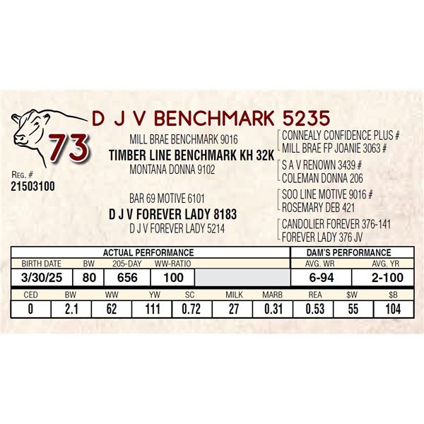 D J V BENCHMARK 5235