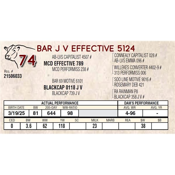 BAR J V EFFECTIVE 5124