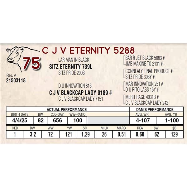 C J V ETERNITY 5288
