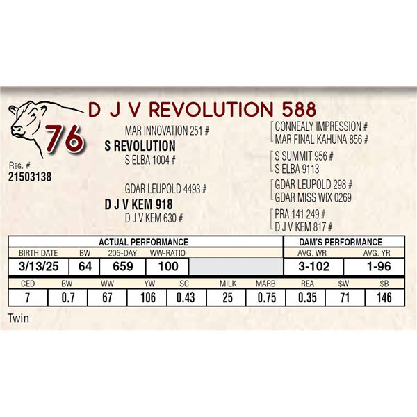 D J V REVOLUTION 588
