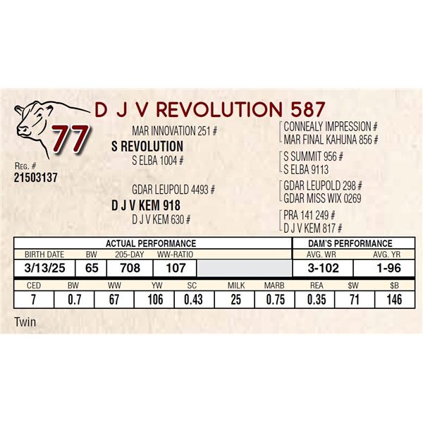 D J V REVOLUTION 587
