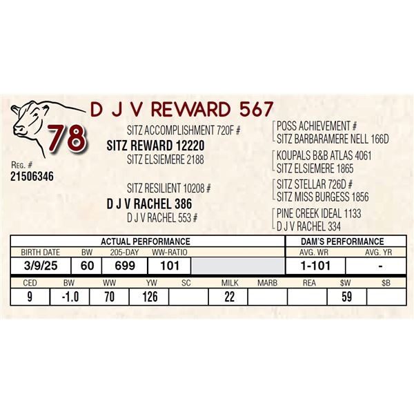 D J V REWARD 567