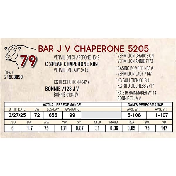 BAR J V CHAPERONE 5205