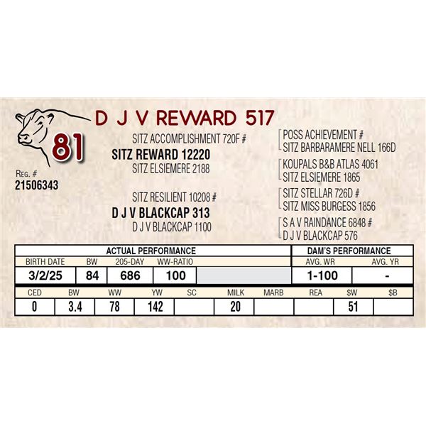 D J V REWARD 517