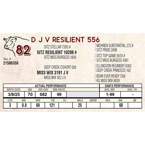 D J V RESILIENT 556