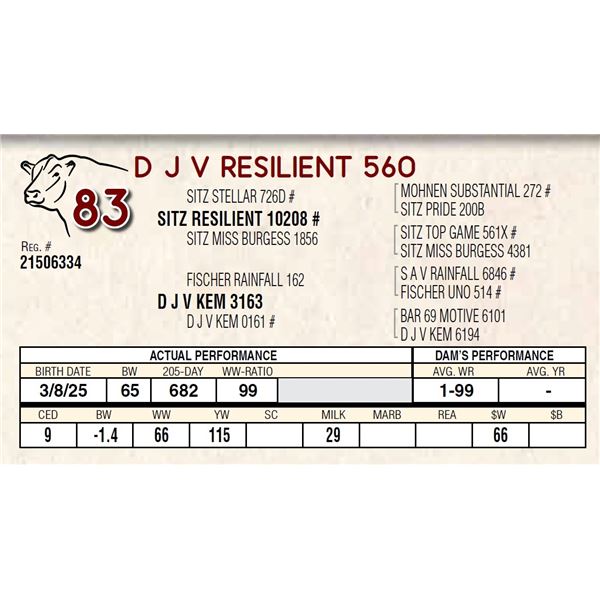 D J V RESILIENT 560