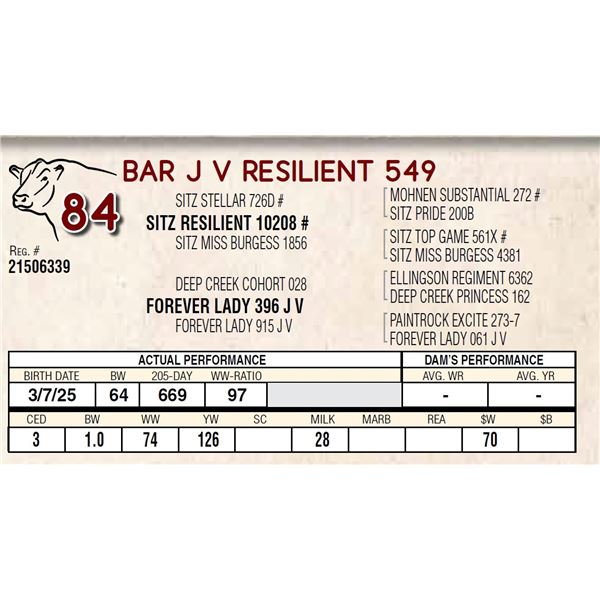 BAR J V RESILIENT 549