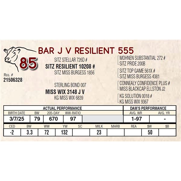 BAR J V RESILIENT 555