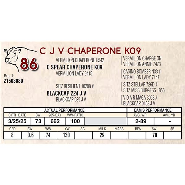 C J V CHAPERONE K09