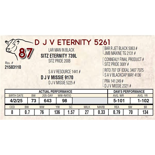 D J V ETERNITY 5261