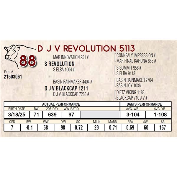D J V REVOLUTION 5113