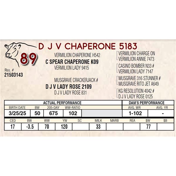 D J V CHAPERONE 5183