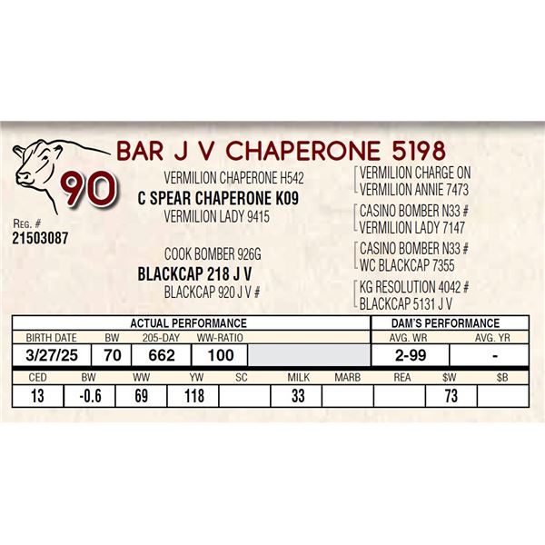 BAR J V CHAPERONE 5198