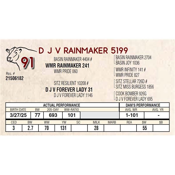 D J V RAINMAKER 5199