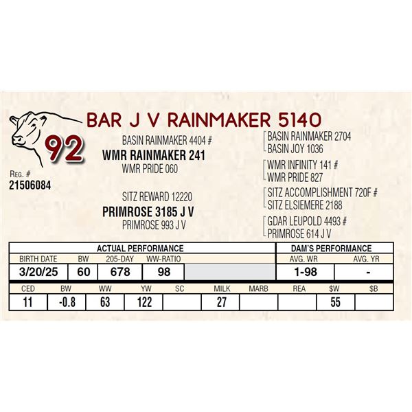 BAR J V RAINMAKER 5140