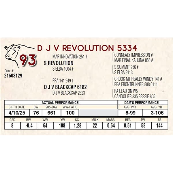 D J V REVOLUTION 5334
