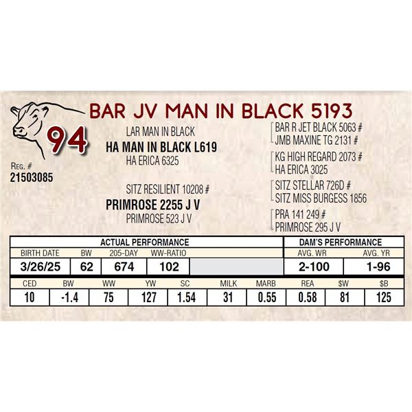 BAR JV MAN IN BLACK 5193