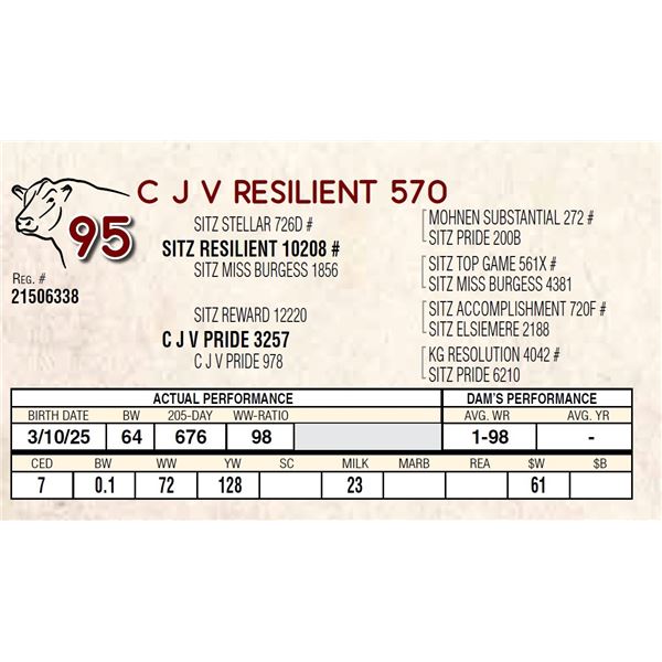 C J V RESILIENT 570