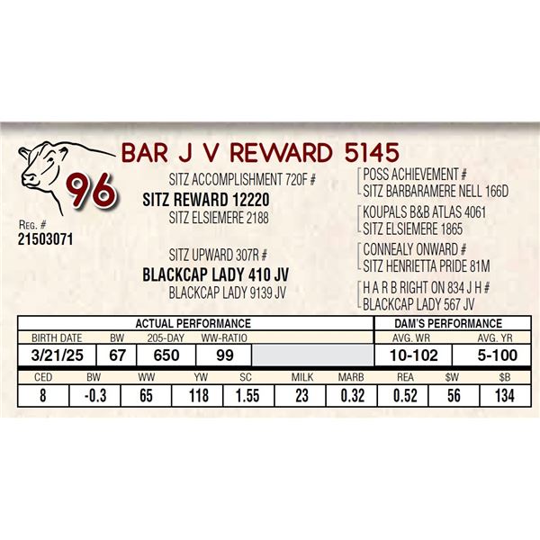 BAR J V REWARD 5145